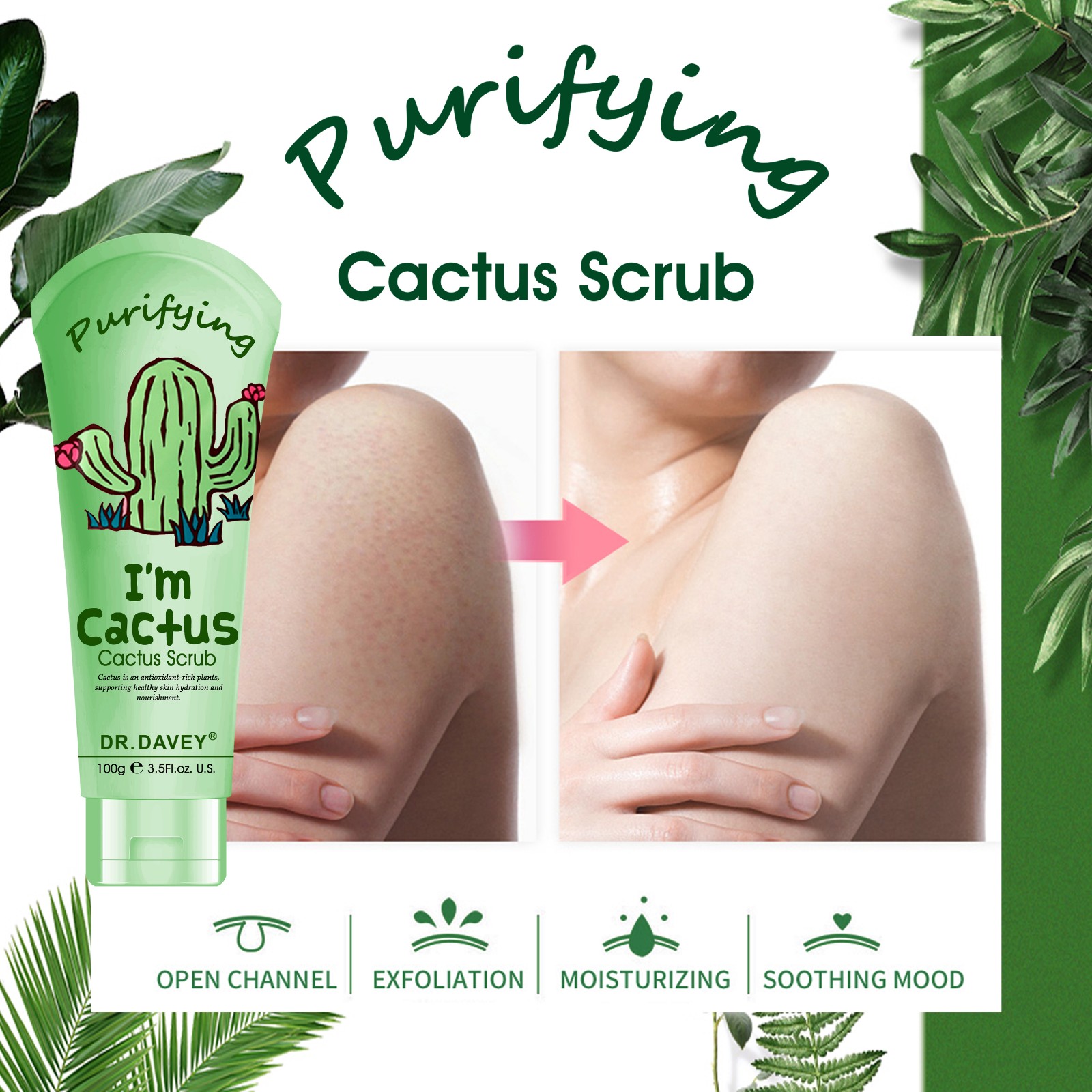 cactus scrub